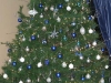 Pictures to Dec. 9, 2004